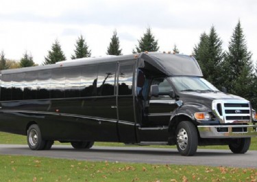 31-Passenger Mini Coach Bus Photo